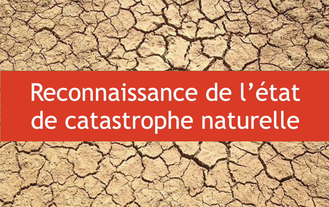 Reconnaissance de l’état de catastrophe naturel pour la sécheresse 2022